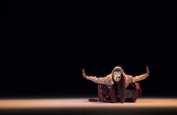 Melanie Lane, Personal Effigies. Photo by Zan Wimberley.