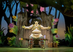 'Shrek the Musical'. Photo by Helen Maybanks.