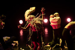 Vicki Van Hout's 'The Consumerist Spectacle'. Photo by Daniel Boud.