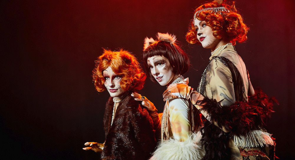 'CATS'. Photo by Kit Haselden Photography.