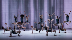 Sydney Dance Company. Photo by Pedro Greig.