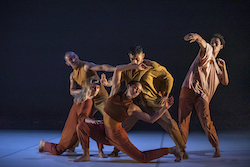 NZDC in 'The Fibonacci'. Photo by Flash Gordon Photography.