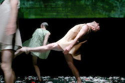 Lucy Guerin's 'Aether'. Photo by Rachelle Roberts.