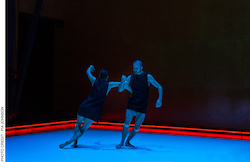 Anouk van Dijk's 'Common Ground'. Photo by Pia Johnson.