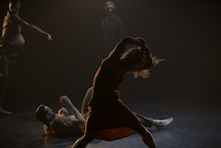 Australasian Dance Collective in 'Aftermath'. Photo by David Kelly.