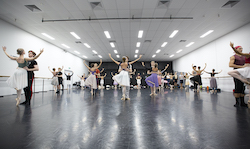 Queensland Ballet in rehearsal for its '60th Anniversary Gala'. Photo by Stephanie Do Rozario.