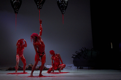 Australian Dance Theatre's 'Supernature'. Photo by Sam Roberts Photography.