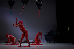 Australian Dance Theatre's 'Supernature'. Photo by Sam Roberts Photography.