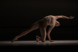 Sydney Dance Company's 'Impermanence'. Photo by Pedro Greig.