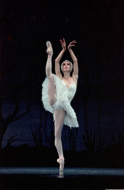 Sylvie Guillem. Photo by Kiyonori Hasegawa.