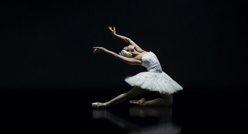 RNZB's Mayu Tanigaito in 'Swan Lake'. Photo by Ross Brown.