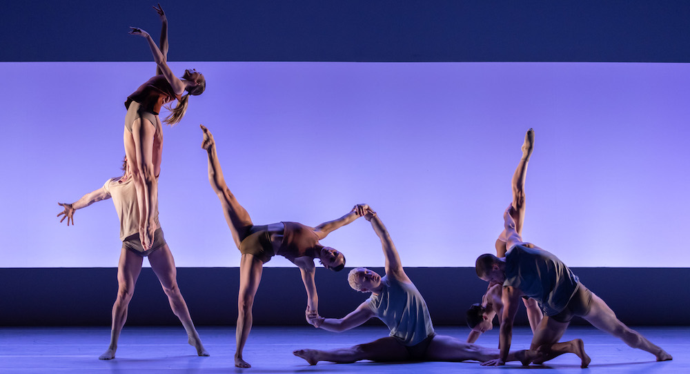 Sydney Dance Company in 'Impermanence.' Photo by Pedro Greig.
