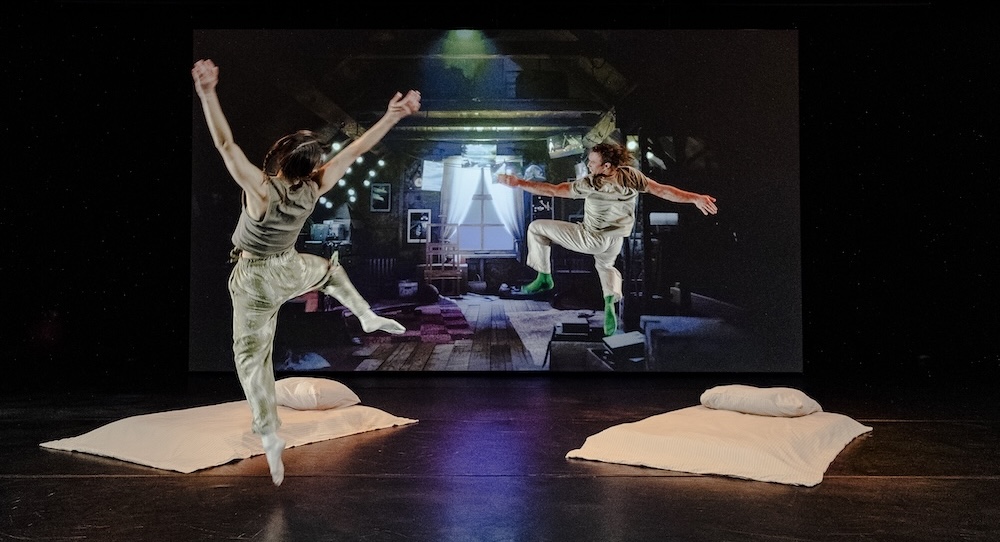 Melanie Lane’s ‘Dream Swamp’: I dreamt I woke up in a swamp