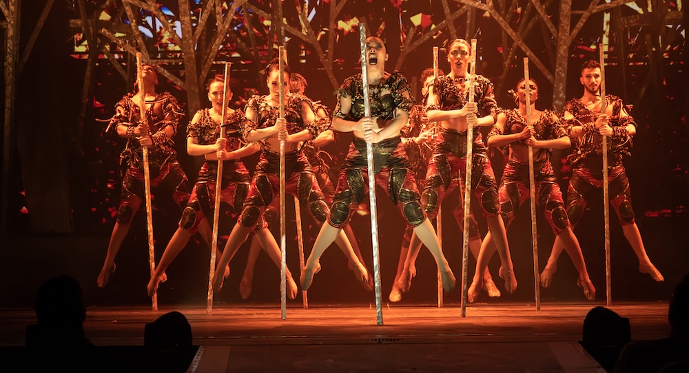 Norwegian Cruise Line Holdings: Audition for exciting new shows